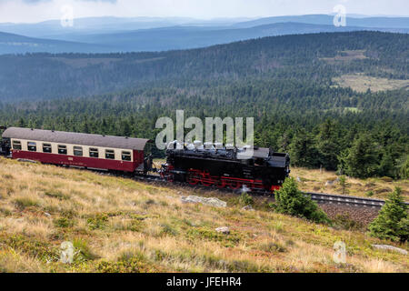 Grumo di linea ferroviaria con la guida in discesa del Brocken, Schierke, vicino a Wernigerode nel Harz, Sassonia-Anhalt, Germania centrale, Germania Foto Stock