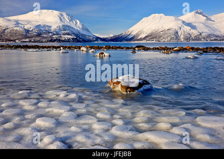 Norvegia, Nordnorwegen, provincia di Troms, spiaggia a Ullsfjord, Lyngenalpen Foto Stock