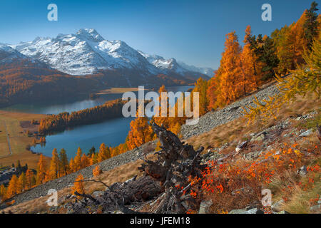 La Svizzera, Oberengadin, Silsersee Foto Stock