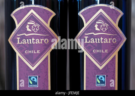 Il Cile, Valle de Curico, equo commercio, vino, Vinos Lautaro Foto Stock