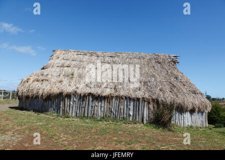 Il Cile, Araucania, Llaguepulli, Mapuche, Ruka, casa rotonda Foto Stock