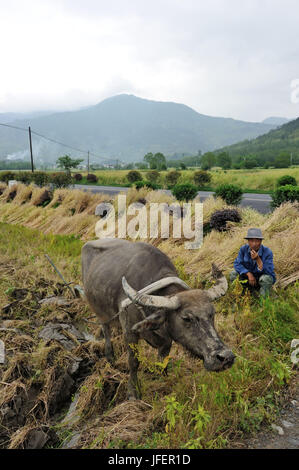 Cina, provincia di Anhui, campagna intorno al villaggio di Hongcun, patrimonio mondiale dell'UNESCO, Foto Stock