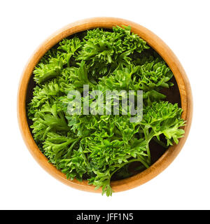 Ricci fresche foglie di prezzemolo nel recipiente di legno. Foglie verdi di Petroselinum crispum, utilizzato come le erbe, spezie e verdure. Isolate il cibo macro foto close up Foto Stock