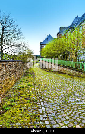 Marciapiede coperto con Moss in Belgio Foto Stock