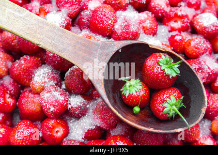 In un contesto di fragole lo zucchero con un cucchiaio di legno per inceppamento sulla quale si trova un paio di fragole con foglie verdi. Foto Stock