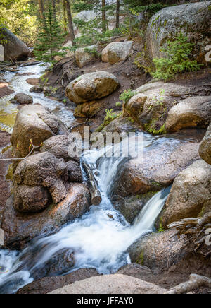 Fiume di montagna nei boschi, foresta. grandi rocce. lisce come la seta acqua fluente. vedauwoo national park, Wyoming usa Foto Stock