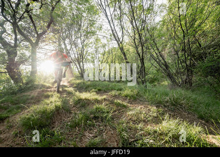 Uomo maturo equitazione mountain bike attraverso la foresta Foto Stock