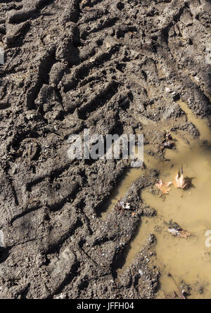 Le tracce delle ruote sul terreno Foto Stock