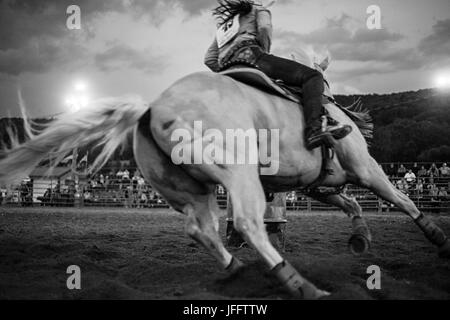 Rodeo, Eliicottville, New York Foto Stock