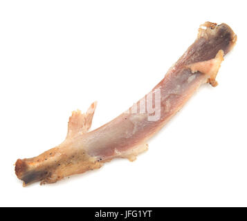 osso di pollo Foto Stock