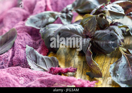 Ciuffi di basilico viola close-up. Foto Stock