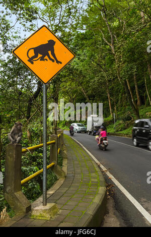 Il traffico di scimmia segno - Indonesia Bali Foto Stock