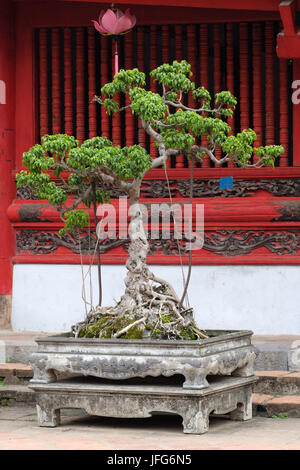 Tempio della Letteratura ad Hanoi, in Vietnam, in Asia Foto Stock