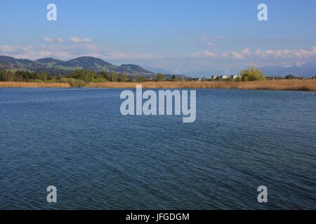 Giornata di Primavera al lago di Pfaffikon Foto Stock