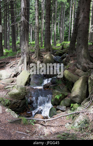 Brocken Germania Foto Stock