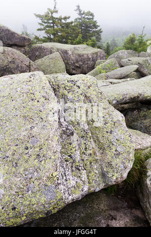 Sassonia-anhalt Leistenklippe Foto Stock