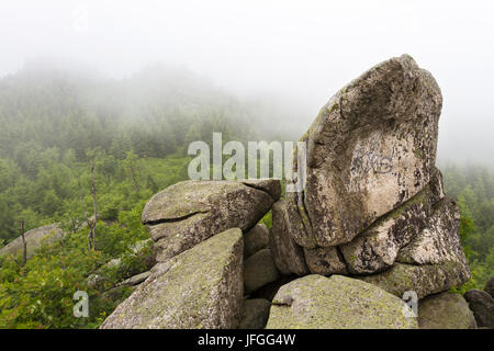 Leistenklippe Sexony-Anhalt Foto Stock