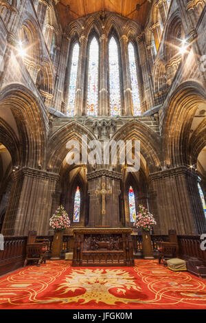 La Scozia, Glasgow Cathedral, vista interna Foto Stock