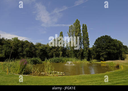 Vista sul laghetto con fiori selvaggi sul diciottesimo foro, Est Corso, Sundridge Park Golf Club, Bromley, Kent, Inghilterra Foto Stock