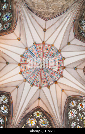 Inghilterra, nello Yorkshire,, York Minster, Chapter House soffitto Foto Stock