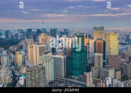 Giappone Tokyo City, Down Town Tokyo e Sky Tower ad albero Foto Stock