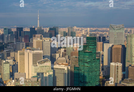 Giappone Tokyo City, Down Town Tokyo e Sky Tower ad albero Foto Stock