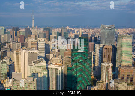 Giappone Tokyo City, Down Town Tokyo e Sky Tower ad albero Foto Stock