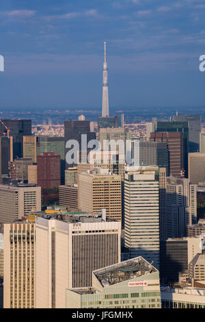 Giappone Tokyo City, Down Town Tokyo e Sky Tower ad albero Foto Stock