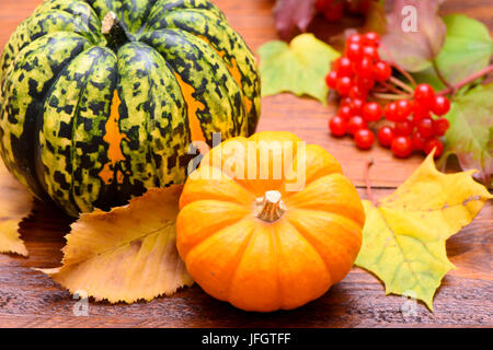 Autunno, zucche, foglie e bacche come una decorazione su legno Foto Stock