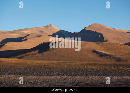 Il Cile, parco nazionale Nevado Tres Cruzes, laguna di Santa Rosa Foto Stock