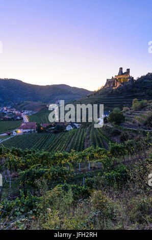 La chiesa parrocchiale e il castello di rovina Senftenberg dietro i vigneti, Bassa Austria, foresta trimestre, Senftenberg Foto Stock