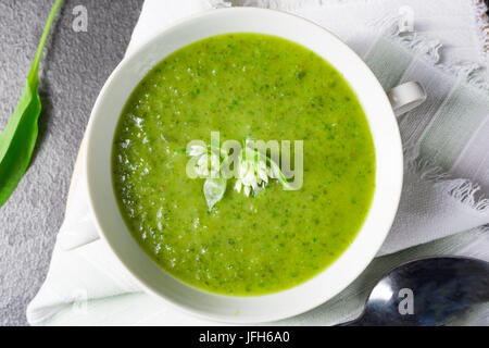 Selvatici Zuppa di aglio Foto Stock