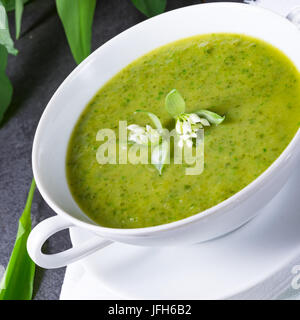 Selvatici Zuppa di aglio Foto Stock