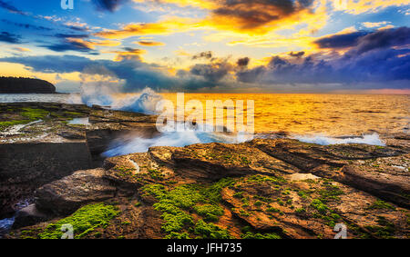 Calda luce del sole colorato capannoni su rocce di arenaria e le alghe intorno erosa fessura a sunrise tempo vicino promontorio Narrabeen costa di Sydney, Australia. Foto Stock