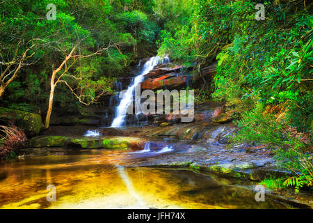 Lussureggiante evergreen pioggia-foresta intorno al somersby cascata cascata. Streaming sfocata l'acqua cade giù per la scogliera di arenaria riflettendo in calma ancora poco profondo Foto Stock