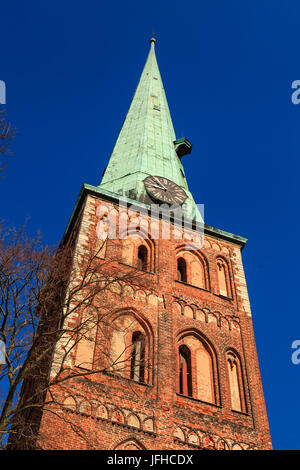 St James Cathedral è la cattedrale cattolica romana a Riga la capitale della Lettonia. La costruzione della cattedrale fu completato nel 1330. Foto Stock