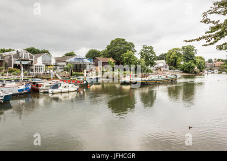 Vista sul Tamigi all'Isola di Eel Pie, Twickenham, Londra UK Foto Stock