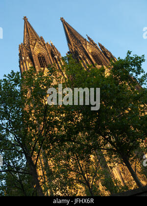 Le guglie della cupola presso la cattedrale di Colonia, Koln Dom, Colonia, Germania nel sole del pomeriggio Foto Stock
