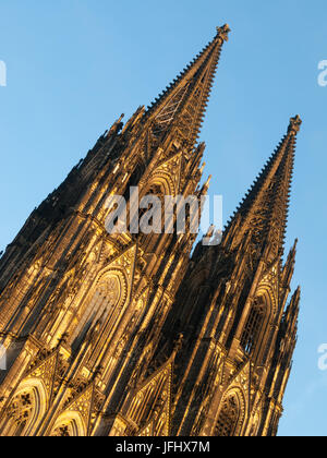 Le guglie della cupola presso la cattedrale di Colonia, Koln Dom, Colonia, Germania nel sole del pomeriggio Foto Stock