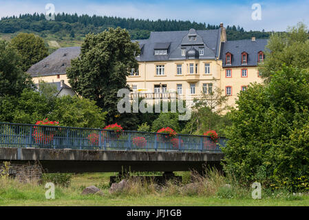 L'Europa, in Germania, in Renania Palatinato, distretto di Bernkastel Wittlich, Mittelmosel, la Mosella, Zeltingen-Rachtig Foto Stock