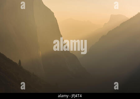 Luce dorata, vista di tunnel, California, Stati Uniti Foto Stock