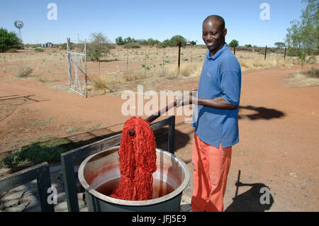 Africa, Namibia, Kiripotib farm di Claudia von Hase, Damara uomo mentre la colorazione della lana karakul Foto Stock