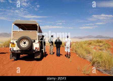 Africa, Namibia, NamibRand Riserva Naturale, Wolwedane safari Foto Stock