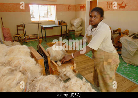 Africa, della Namibia, il Kalahari, Kiripotib farm, lana karakul, filanda Foto Stock