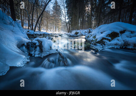 Corso di flusso in inverno il legno, Triebtal, Vogtland, Bassa Sassonia, Germania Foto Stock