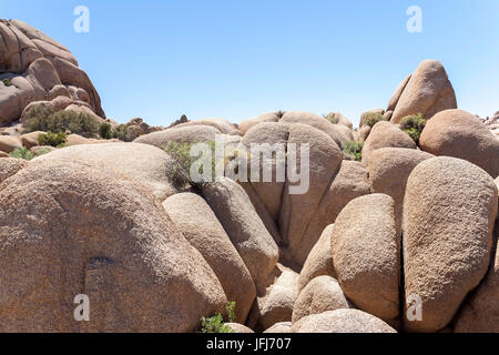 Le formazioni rocciose a Bryce Canyon Nationalpark, Utah, USA Foto Stock