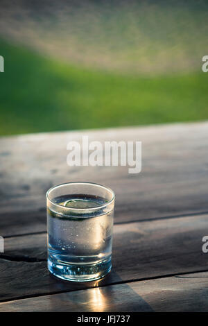 Due bicchieri di gin tonic su un vassoio seduti su un tavolo da giardino  con sole forte in background Foto stock - Alamy