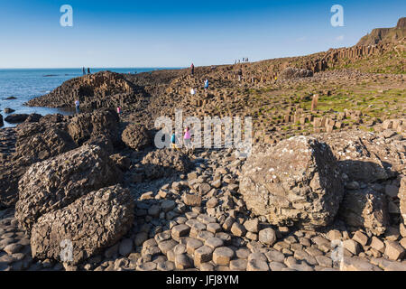 Regno Unito e Irlanda del Nord, nella contea di Antrim, Bushmills, giganti Causeway, Sito Patrimonio Mondiale dell'Unesco, costiere formazione di roccia di basalto, crepuscolo Foto Stock