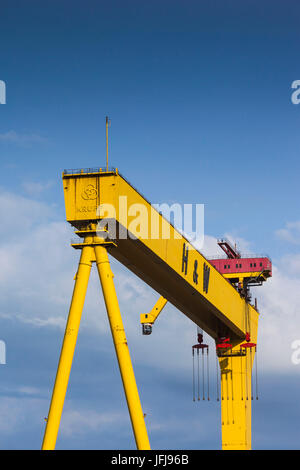 Regno Unito e Irlanda del Nord, Belfast, Belfast Docklands, Harlan e Wolff gru di cantiere, onetime costruttori del Titanic Foto Stock