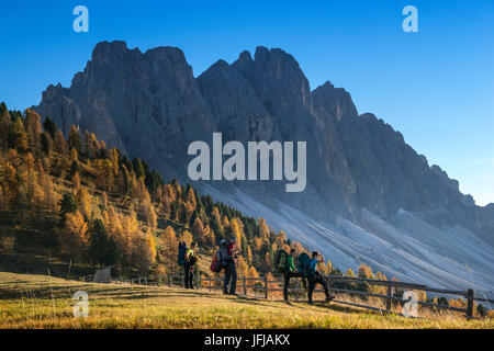 Puez Olde parco naturale, Trentino Alto Adige Sudtirol, Dolomiti, Alpi, Italia Foto Stock